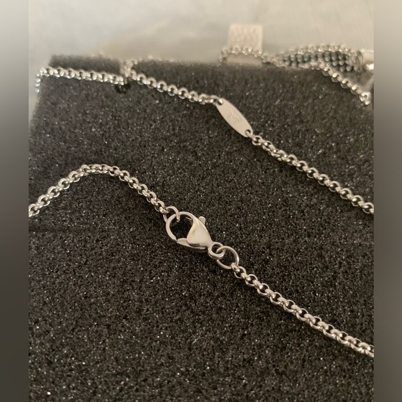 Stainless Steel Horn Pendant on Rolo Chain 22” - Picture 5 of 6